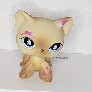 Littlest Pet Shop Short Hair Tan Cat Splash‎ Splat Eyes #816 LPS